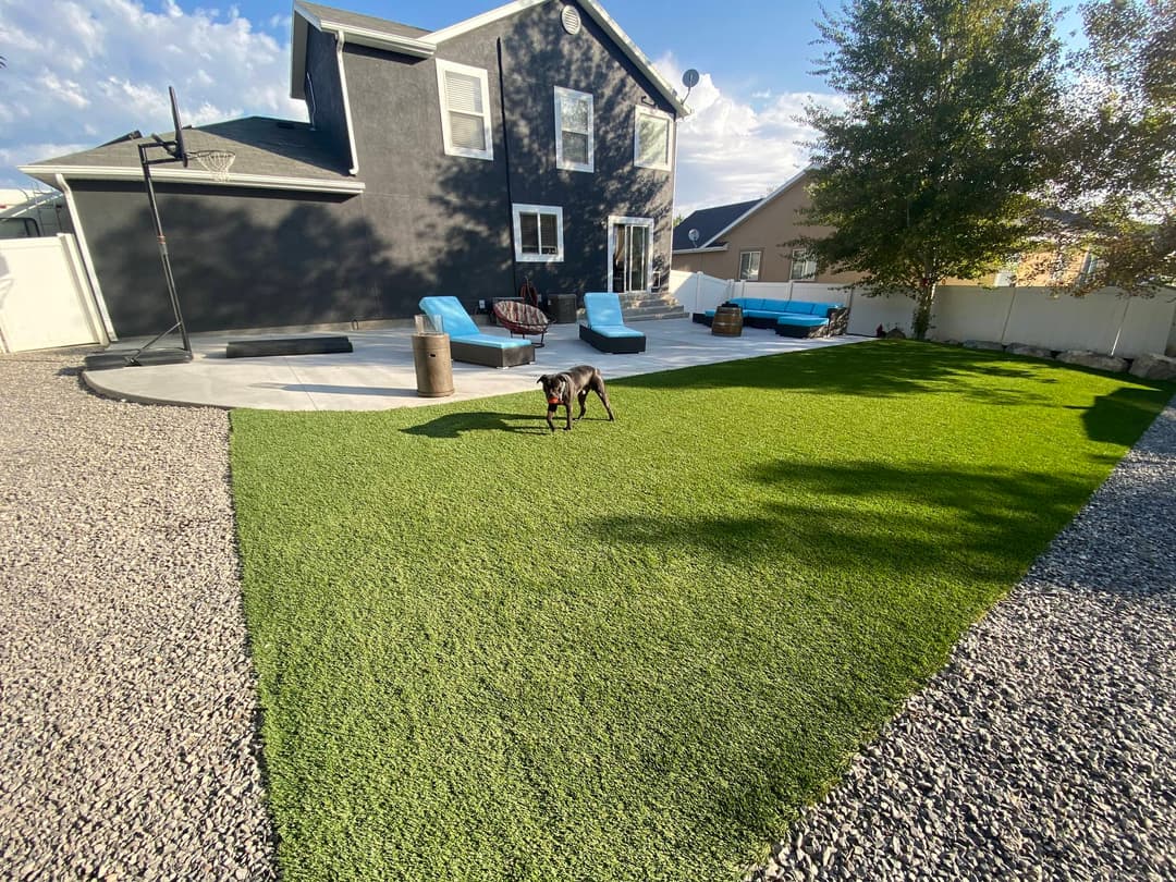 Dog playing on artificial grass in a backyard with modern landscaping and seating.